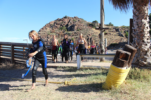  The Most Adventurous Sea Camp on Catalina Island