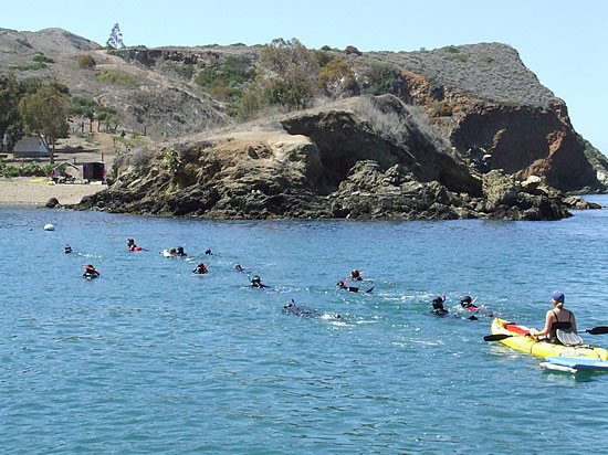  Why Teachers Love MSI’s Sea Camp Program On Catalina Island